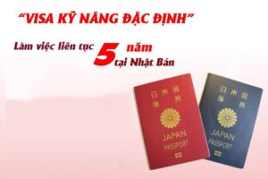 visa-ky-nang-dac-dinh